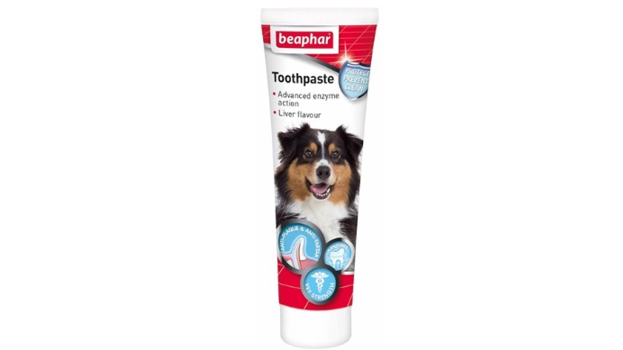 ביהפר, משחת שיניים לכלבים בטעם כבד - 100 גרם