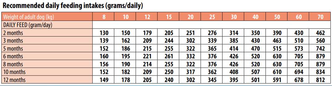 מונג', מזון יבש לגורים מכל הגזעים בטעם סלמון ואורז - Monge, Puppy & Junior Salmon with Rice