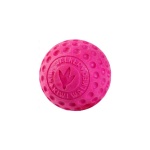 Kiwi. קיווי כדור גומי קשיח צף על המים במגוון צבעים