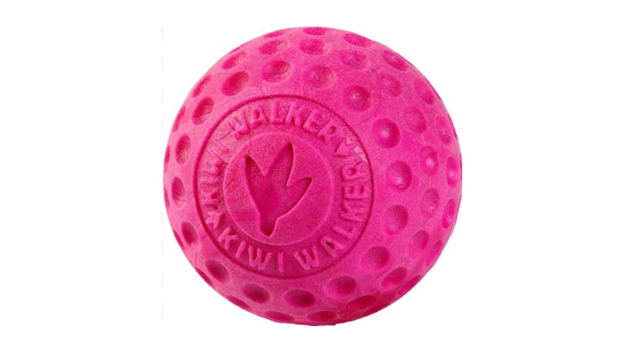 Kiwi. קיווי כדור גומי קשיח צף על המים במגוון צבעים