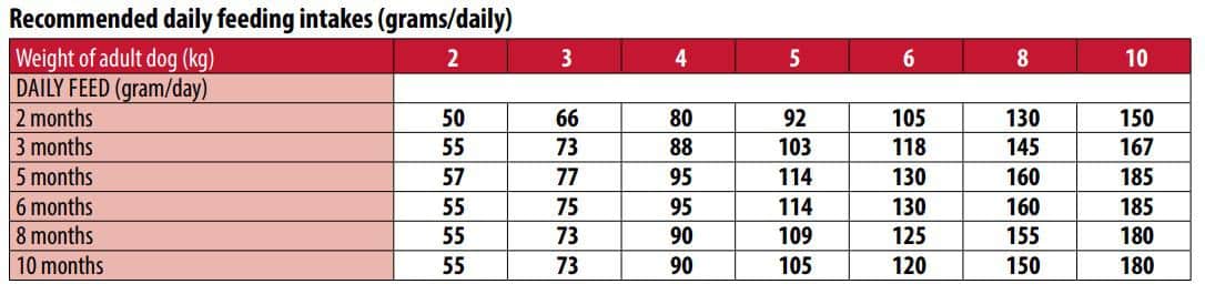 מונג', מזון יבש לגורים מגזע קטן עשיר בבשר עוף - Monge, Mini Puppy & Junior