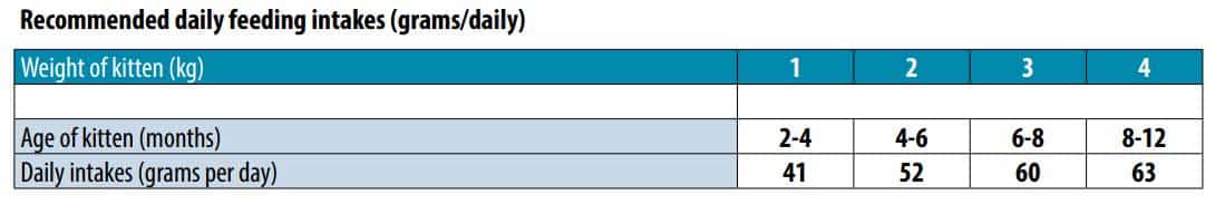 מונג', מזון יבש לגורי חתולים עשיר בבשר עוף - Monge, Kitten Rich in Chicken
