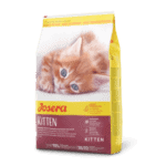 גוזרה קיטן עוף לחתלתולים