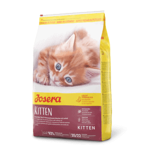 גוזרה קיטן עוף לחתלתולים