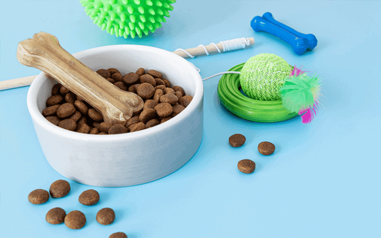 מזון לחתולים | אוכל לחתולים במודיעין