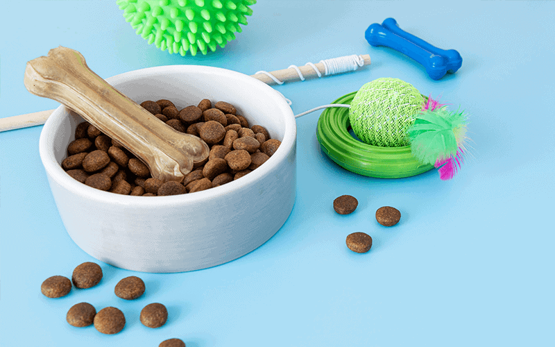 מזון לחתולים | אוכל לחתולים במודיעין