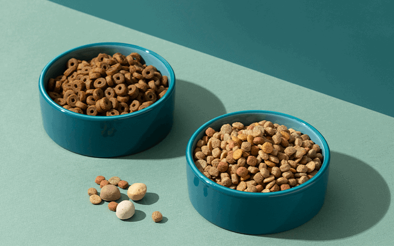 מזון לכלבים | אוכל לכלבים במודיעין