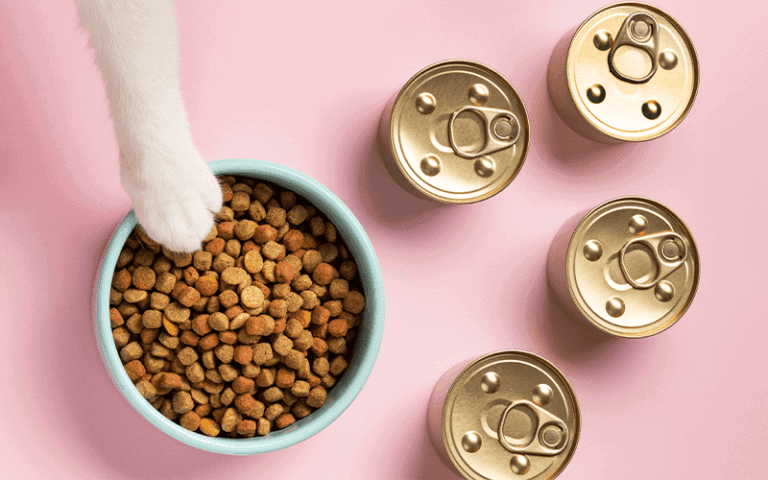 חשיבות החלבון במזון לכלבים