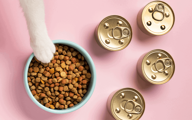 חשיבות החלבון במזון לכלבים