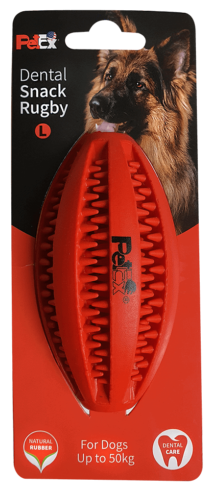 פטקס, כדור רוגבי דנטלי לכלב באורך 10 ס"מ מגומי טבעי וחזק מידה  M