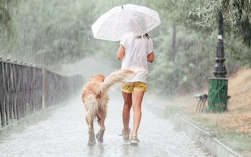 בעלי חיים בחורף