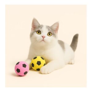 כדורי ספוג לחתול בצורת כדורגל 3 יח'