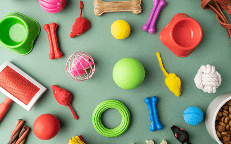 ציוד לחתולים במודיעין