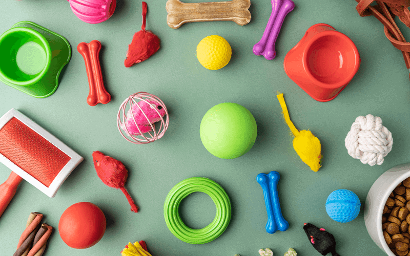 ציוד לחתולים במודיעין