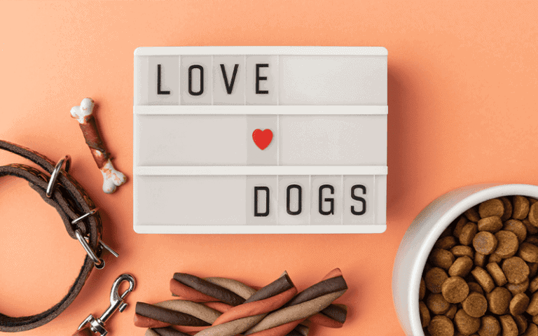 ציוד לכלבים במודיעין