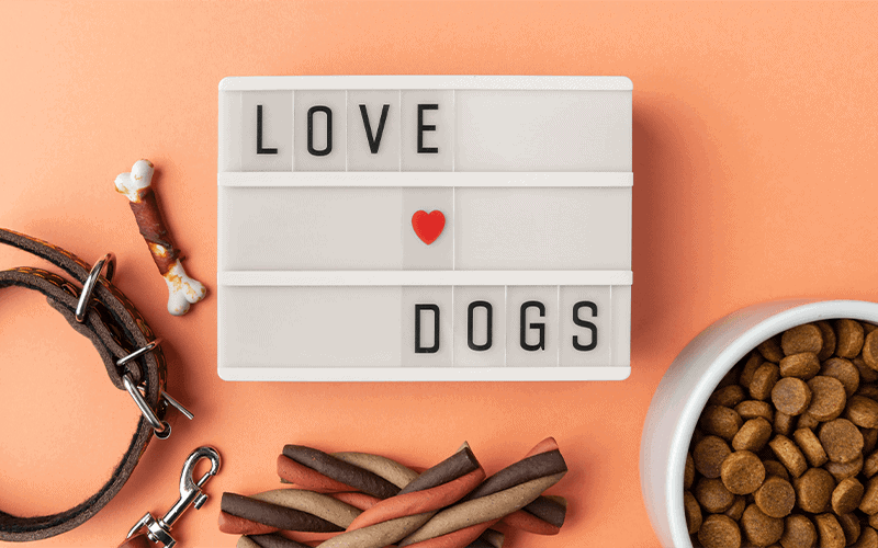 ציוד לכלבים במודיעין