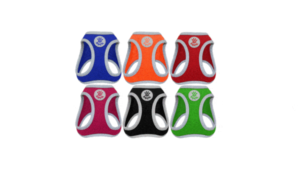 ריתמת בגד רשת דוקו לכלב בצבעים ומידות לפי בחירה