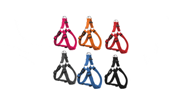 רתמת ניילון דוקו לכלב בצבעים ומידות לפי בחירה