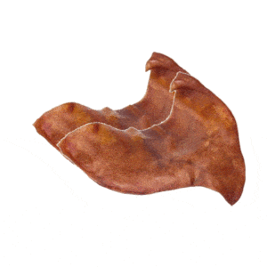 אוזן חזיר טבעית מידה L