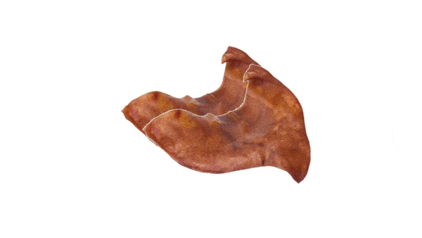 אוזן חזיר טבעית מידה L