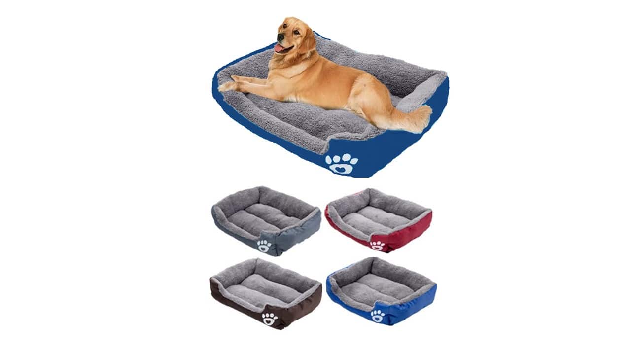 מיטה  לכלבים במגוון צבעים וגדלים