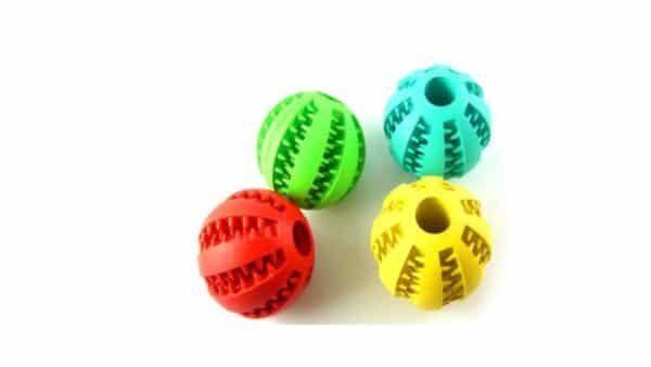 כדור משחק/לעיסה דנטלי