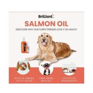 שמן סלמון נורווגי בבקבוק של 300 מ"ל או 1 ליטר