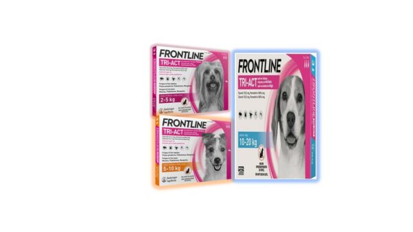 פרונטליין טרי אקט,  אמפולות לכלב בהתאמה למשקל הכלב