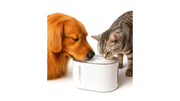 PETSEE דגם S1, מזרקת מים נטענת לחיות מחמד בנפח 2.5 ליטר