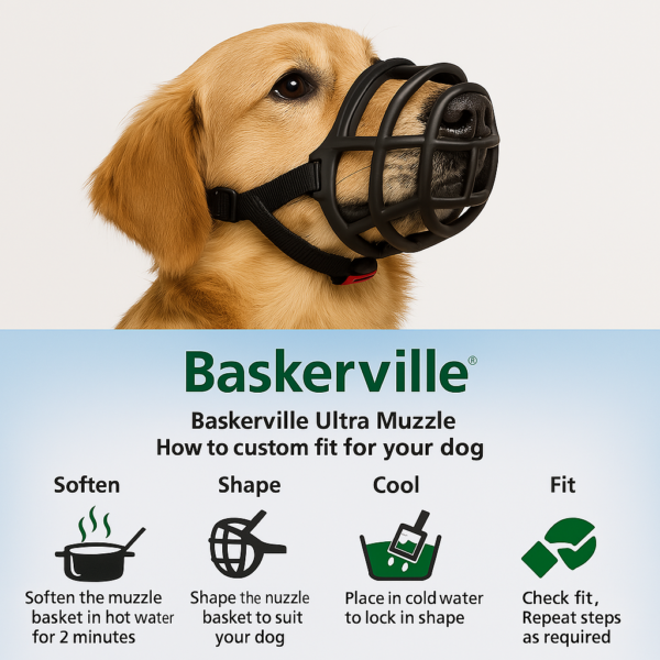 Baskerville, מחסום בסקרוויל מקורי במגוון מידות - 2 עד מידה 6