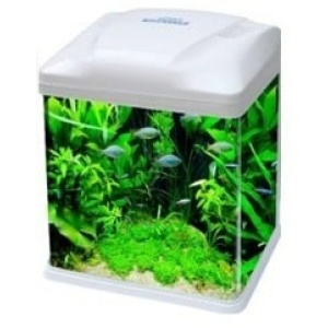 אקווריום לדגים קומפלט - תוצרת קוקו B - בצבעים וגדלים שונים.