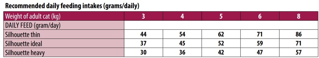 מונג' מגדלים, מזון סופר פרימיום עשיר בבשר עוף לחתולי בית, 10 ק"ג - Monge Breeders