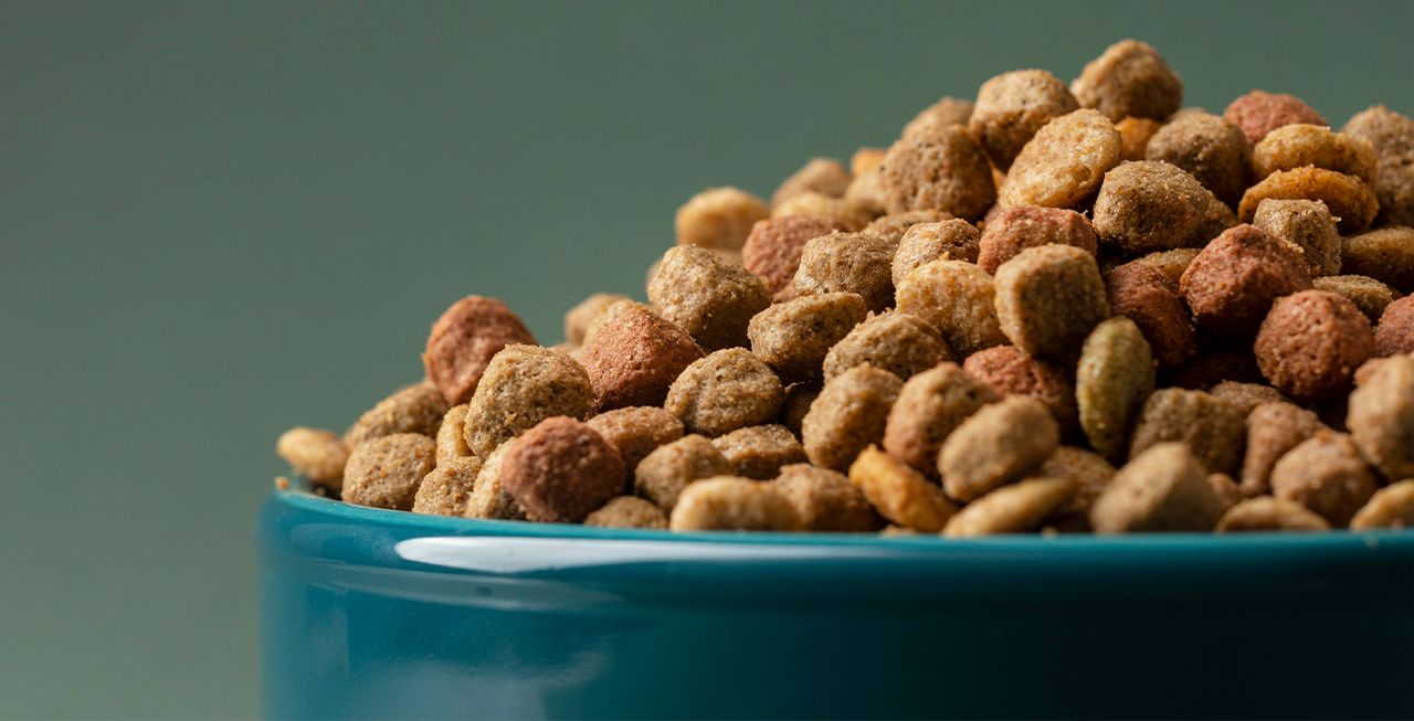 אקאנה אוכל לכלבים