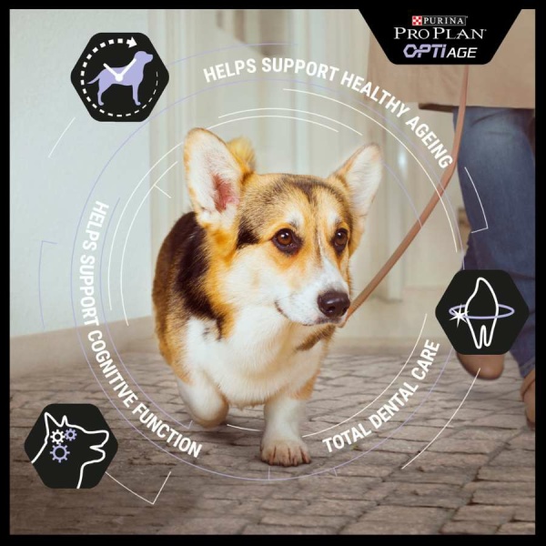 פרו פלאן, מזון יבש עשיר בבשר עוף לכלב מבוגר (סניור) מגזע קטן סניור, 3 ק"ג - Pro Plan, Chicken Small and Mini