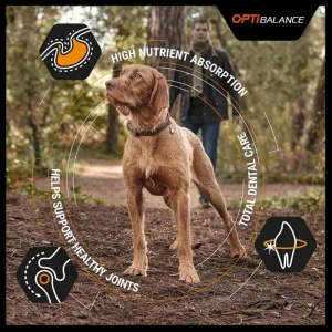 פרו פלאן, מזון יבש לכלבים בוגרים של גזעים קטנים, חתיכות עוף מבושלות 3 ק"ג - Pro Plan, Small and Mini