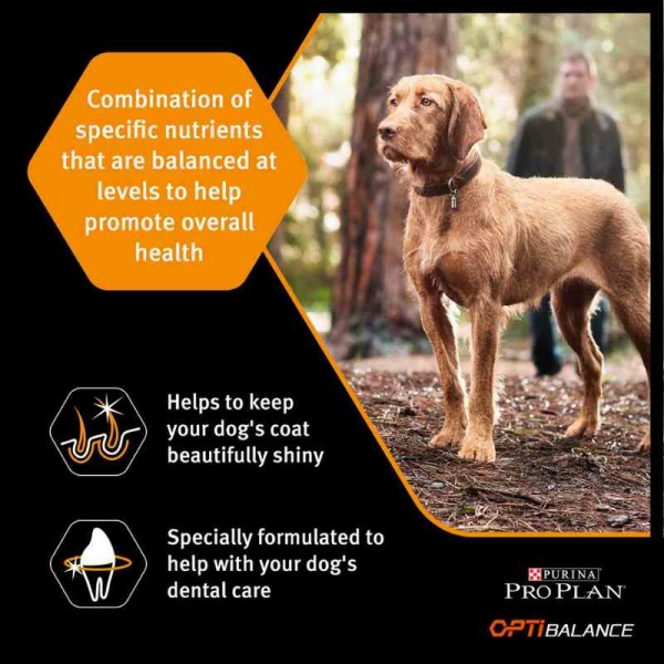 פרו פלאן, מזון יבש לכלבים בוגרים של גזעים קטנים, חתיכות עוף מבושלות 3 ק"ג - Pro Plan, Small and Mini