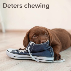 ביהפר, תרסיס התנהגותי לכלבים - 125 מ"ל