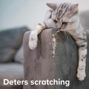 ביהפר, תרסיס התנהגותי לכלבים - 125 מ"ל