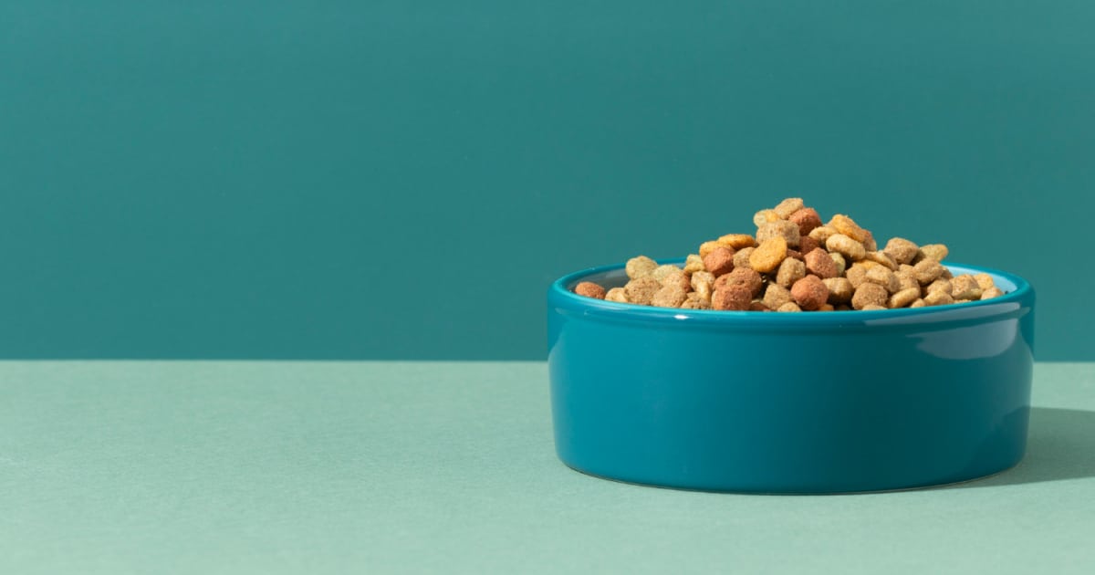 מזון לחתולים