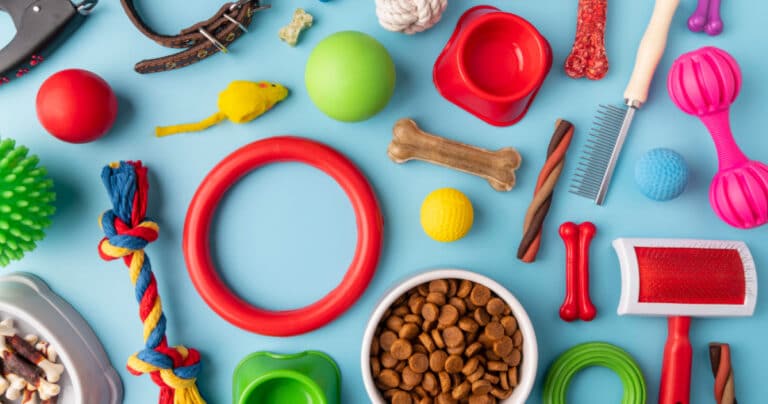 ציוד חובה לנוחות החתול שלך