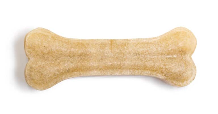 מדריך לבחירת החטיפים הטובים ביותר עבור החתול שלך - חטיפים לחתולים