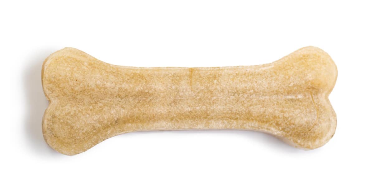 מדריך לבחירת החטיפים הטובים ביותר עבור החתול שלך - חטיפים לחתולים