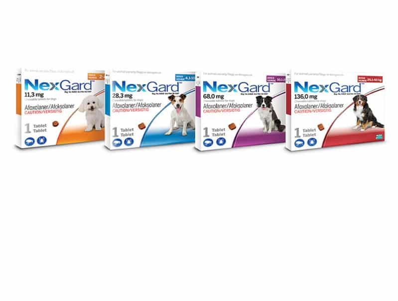 נקסגארד, טבליות לעיסה נגד קרציות ופרעושים לכלבים