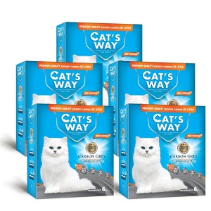 קטס, קרטון חול מתגבש  פחם 10 ליטר