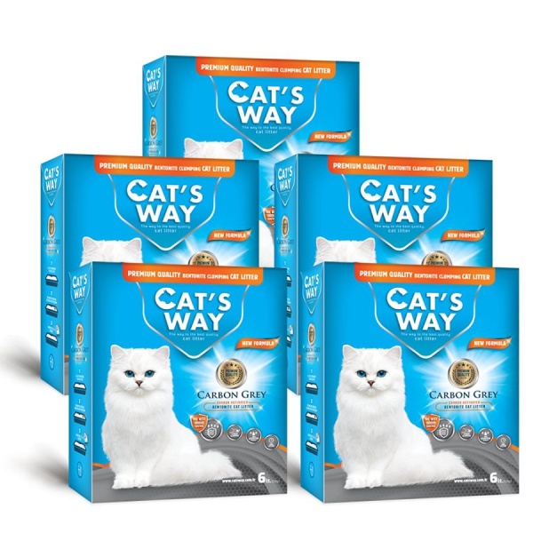 קטס, קרטון חול מתגבש  פחם 10 ליטר