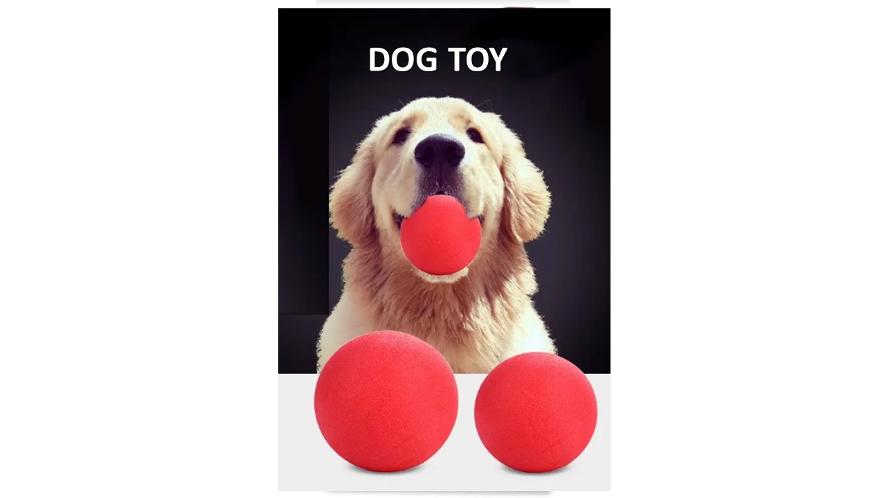DOG TOY, כדור גומי קשיח לכלב מגיע בשני גדלים.