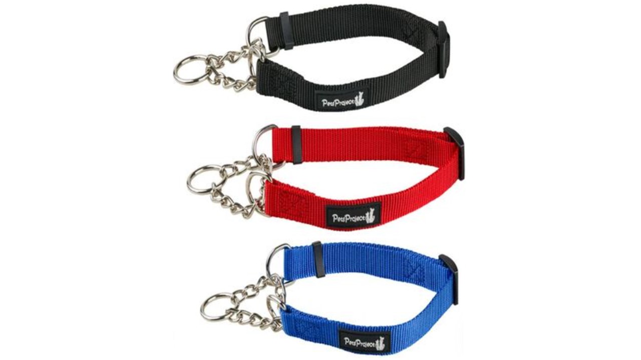 קולר חצי חנק לכלב - מגוון מידות