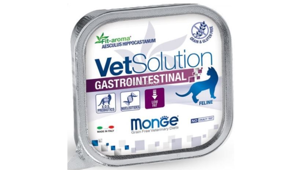 מונג וט גסטרו אינטסטינל לחתול - 100 גרם
