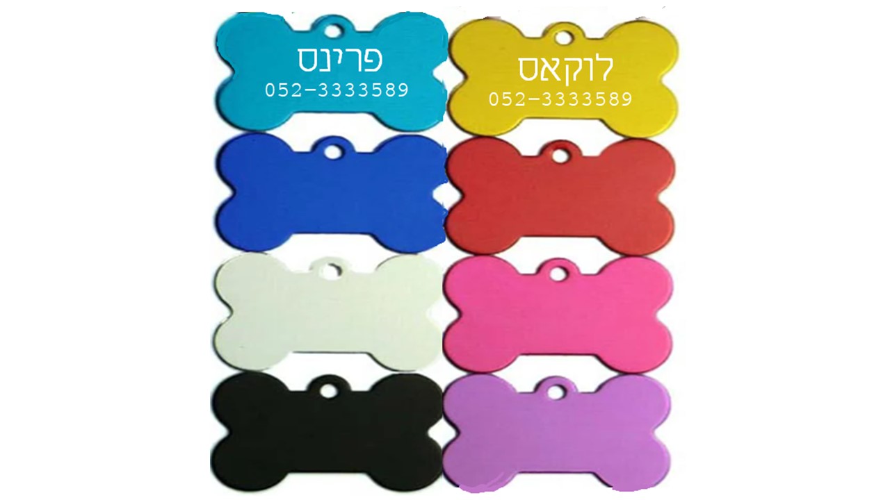 תג שם יוקרתי בחריטה אישית לכלב ולחתול – בטיחות וסטייל בכל טיול