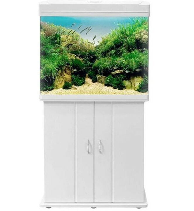 אקווריום לדגים + פילטר + תאורת לד - 62 ס"מ דגם CR620